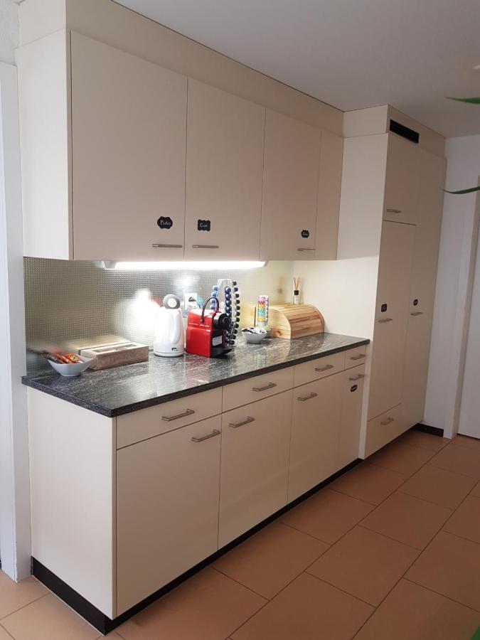 Rhii B&B Eglisau Екстериор снимка